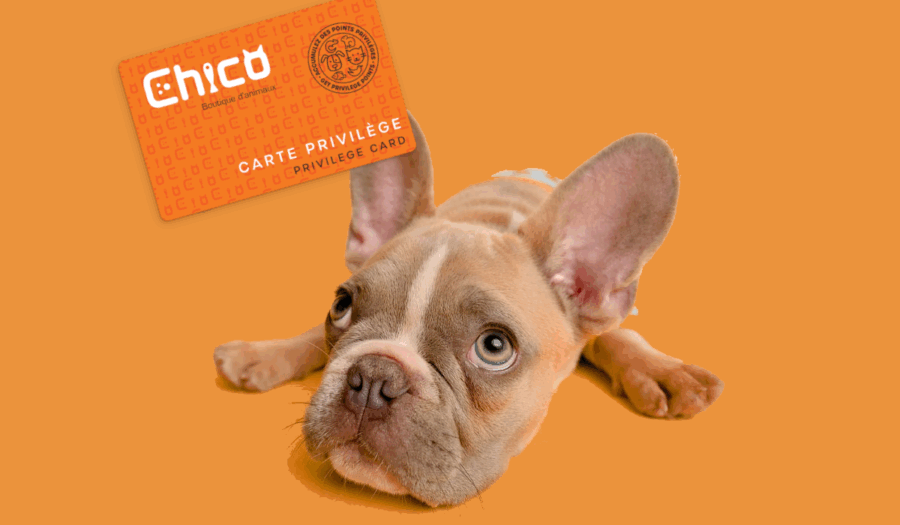 club privilège chico